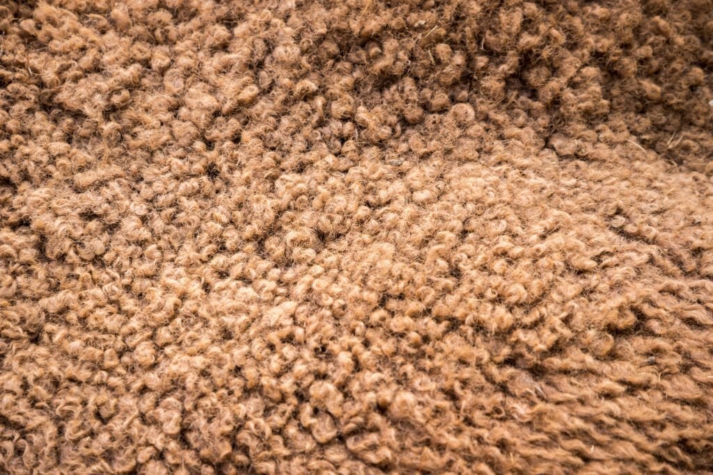 Camel Hair Fabric